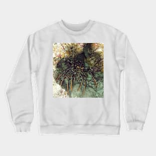 Caribbean Spotted Lobster at night Crewneck Sweatshirt